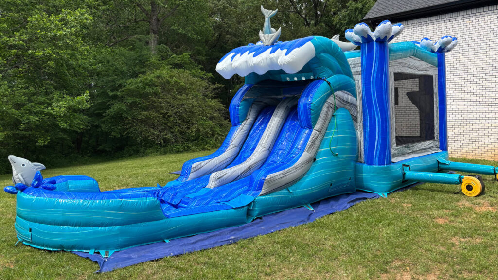 Dolphin Dual Lane Inflatable